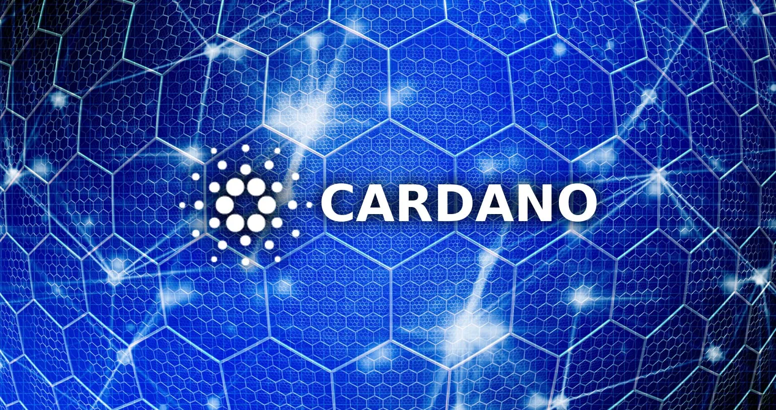 Frankfurt Cardano - Blockchain Consulting - Cardano Programmer - Insurance Blockchain - Real Estate Blockchain - Plutus Developer