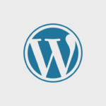 WordPress Programming - WordPress Developer Frankfurt - WordPress API